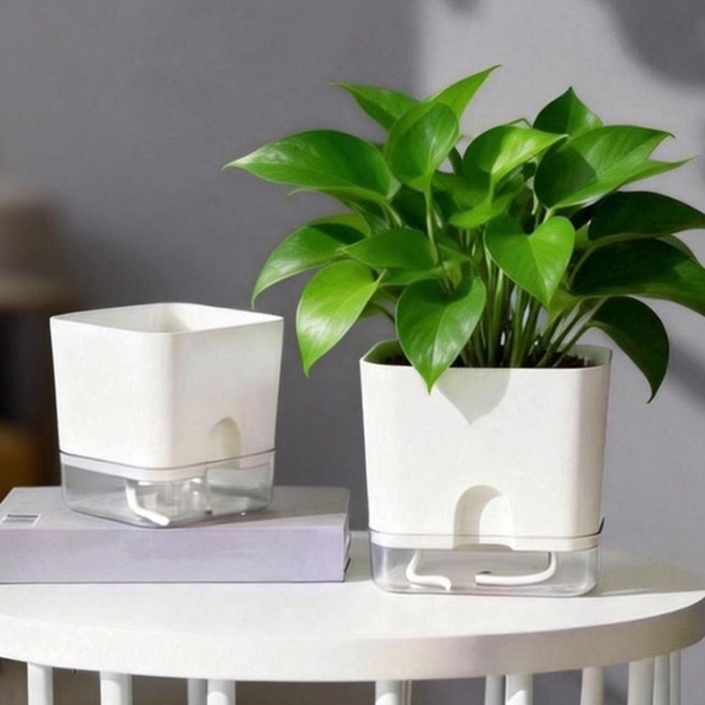 Automatic Watering Flower Pots - Aloe Vera Pot recension och pris