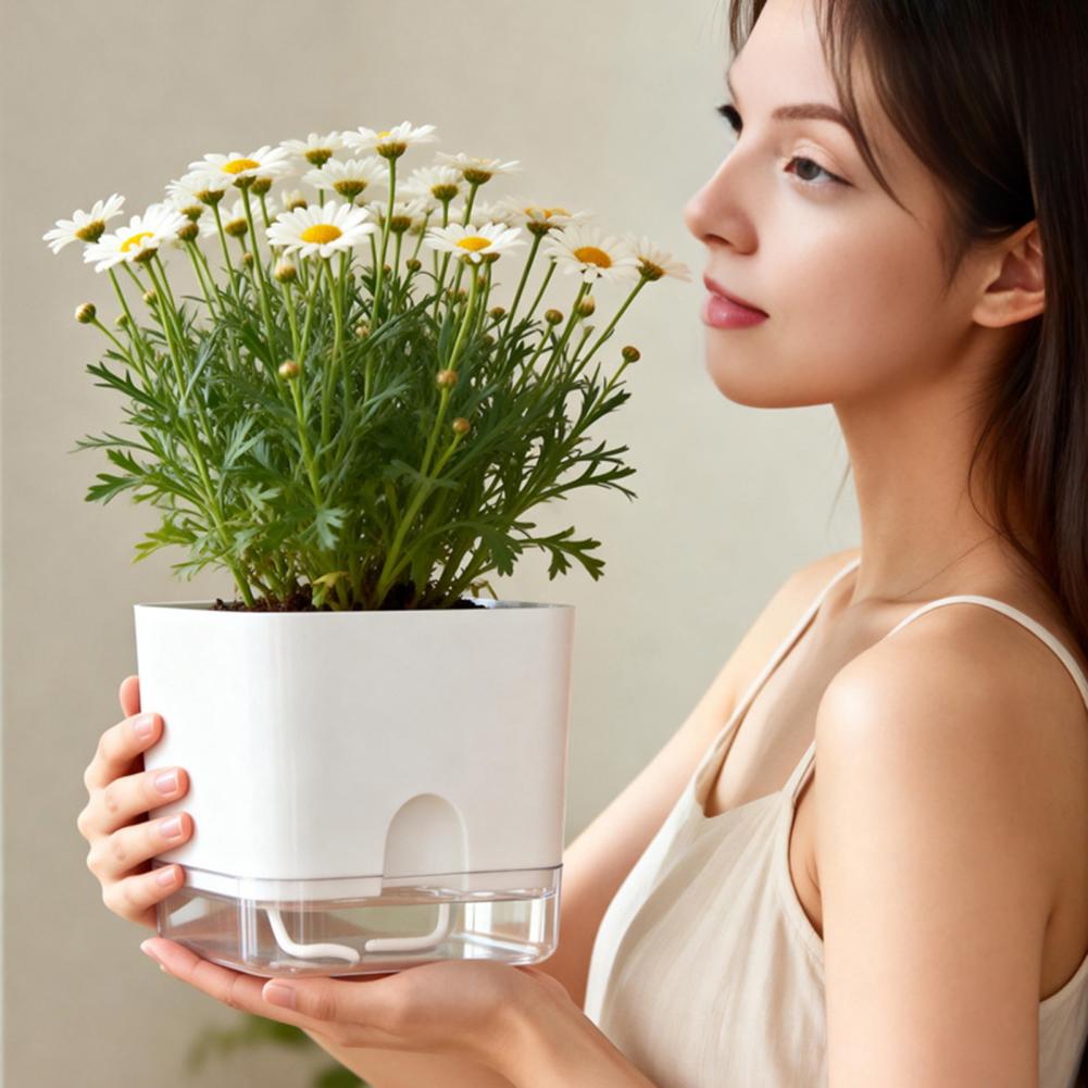 Automatic Watering Flower Pots - Aloe Vera Pot recension och pris