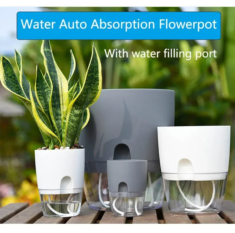 Transparent Double Layer Plast - Aloe Vera Pot recension och pris