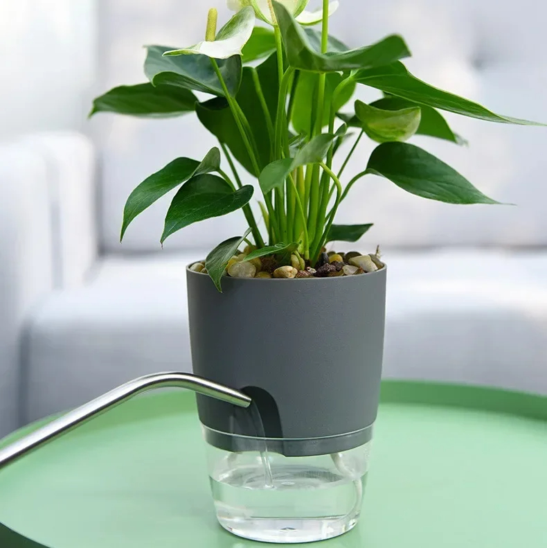 Transparent Double Layer Plast - Aloe Vera Pot recension och pris