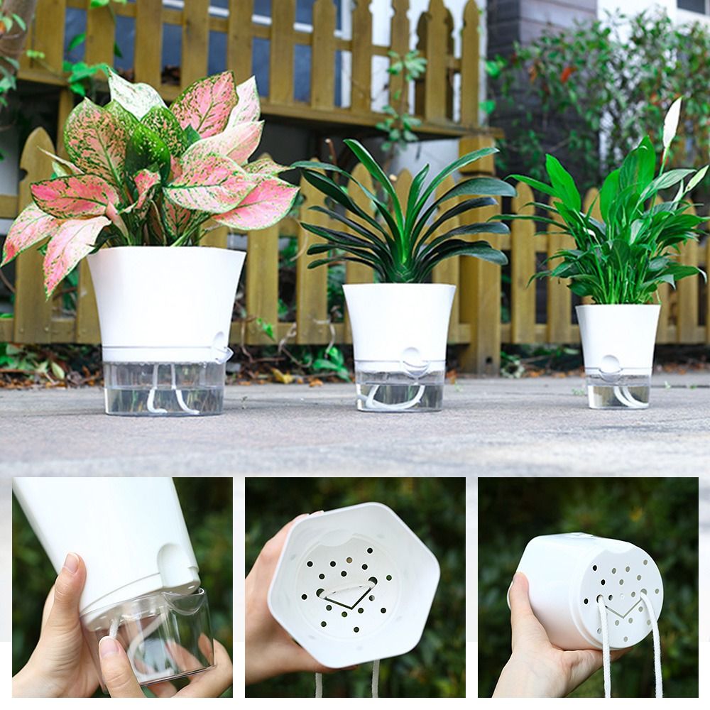 Transparent Double Layer Plast - Aloe Vera Pot recension och pris