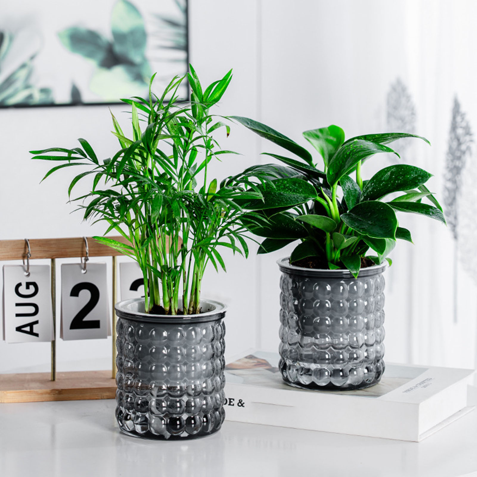 New Self Watering Hydroponic P - Aloe Vera Pot recension och pris