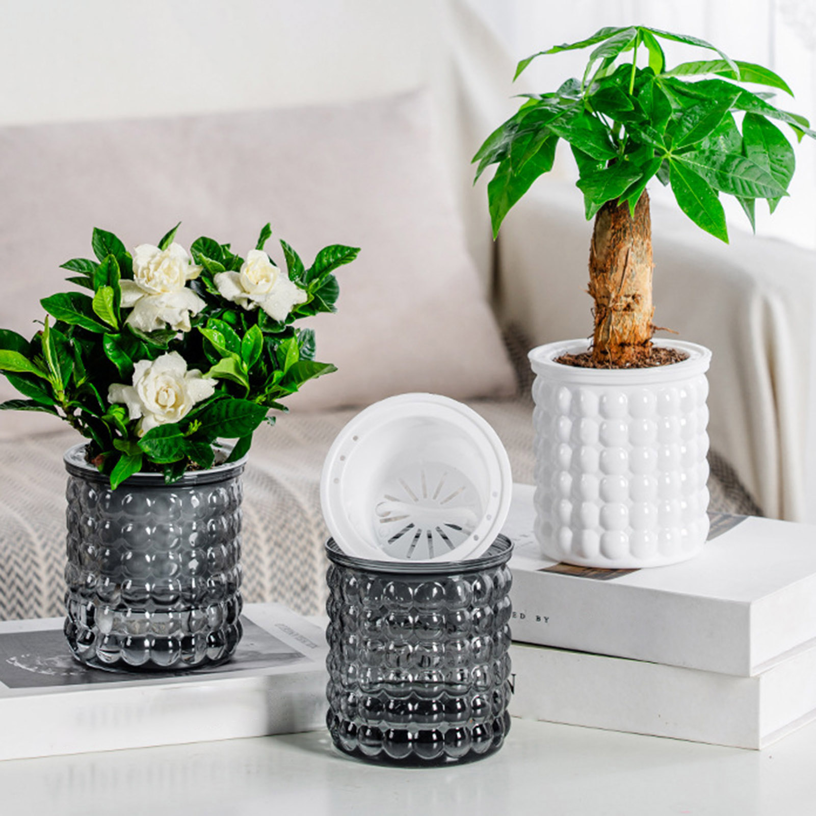 New Self Watering Hydroponic P - Aloe Vera Pot recension och pris