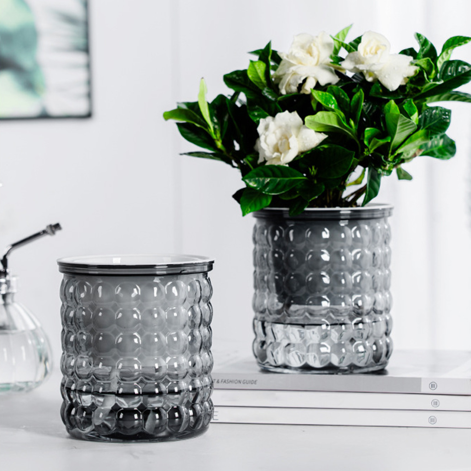 New Self Watering Hydroponic P - Aloe Vera Pot recension och pris