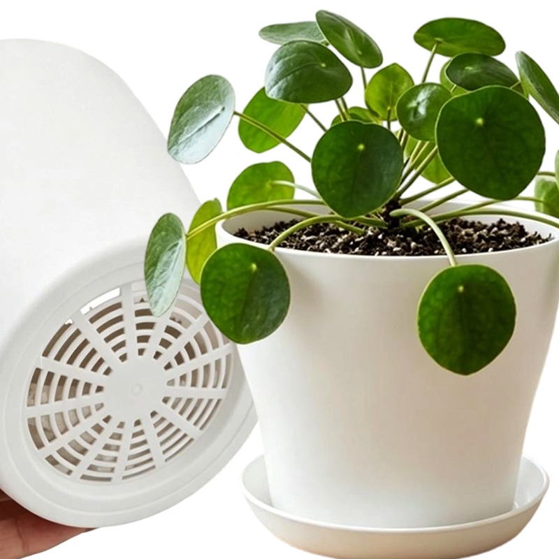 Plant Pot Set with Drainage Ho - Aloe Vera Pot recension och pris